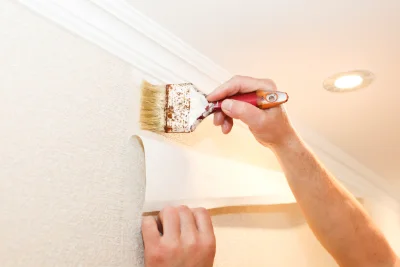 Pose de papier peint à Vallan — revêtements muraux et toiles de verre